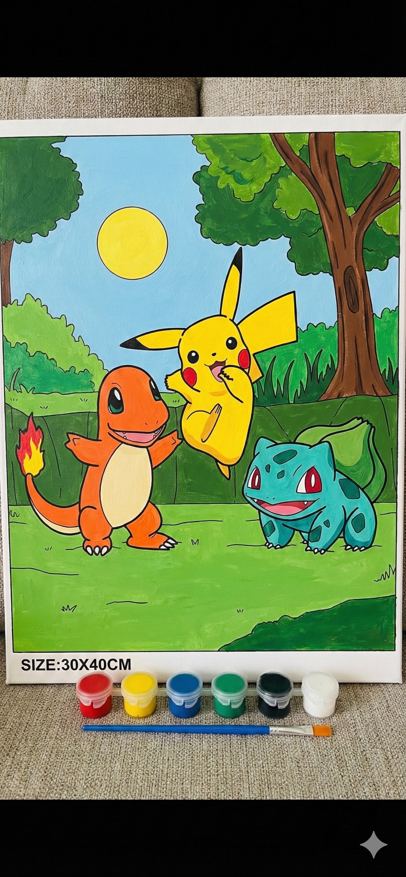 Lienzo Pokémon 30x40cm