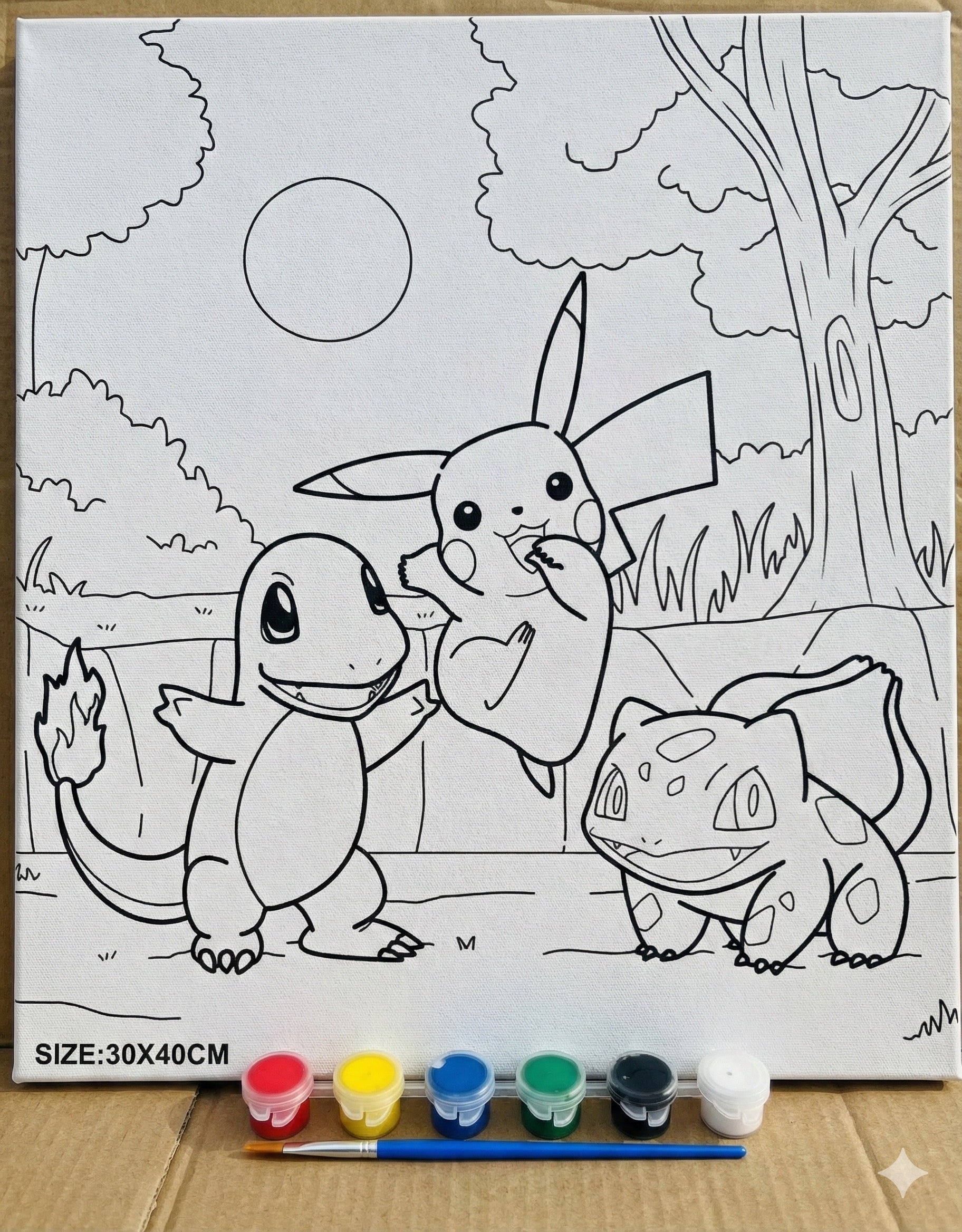 Lienzo Pokémon 30x40cm
